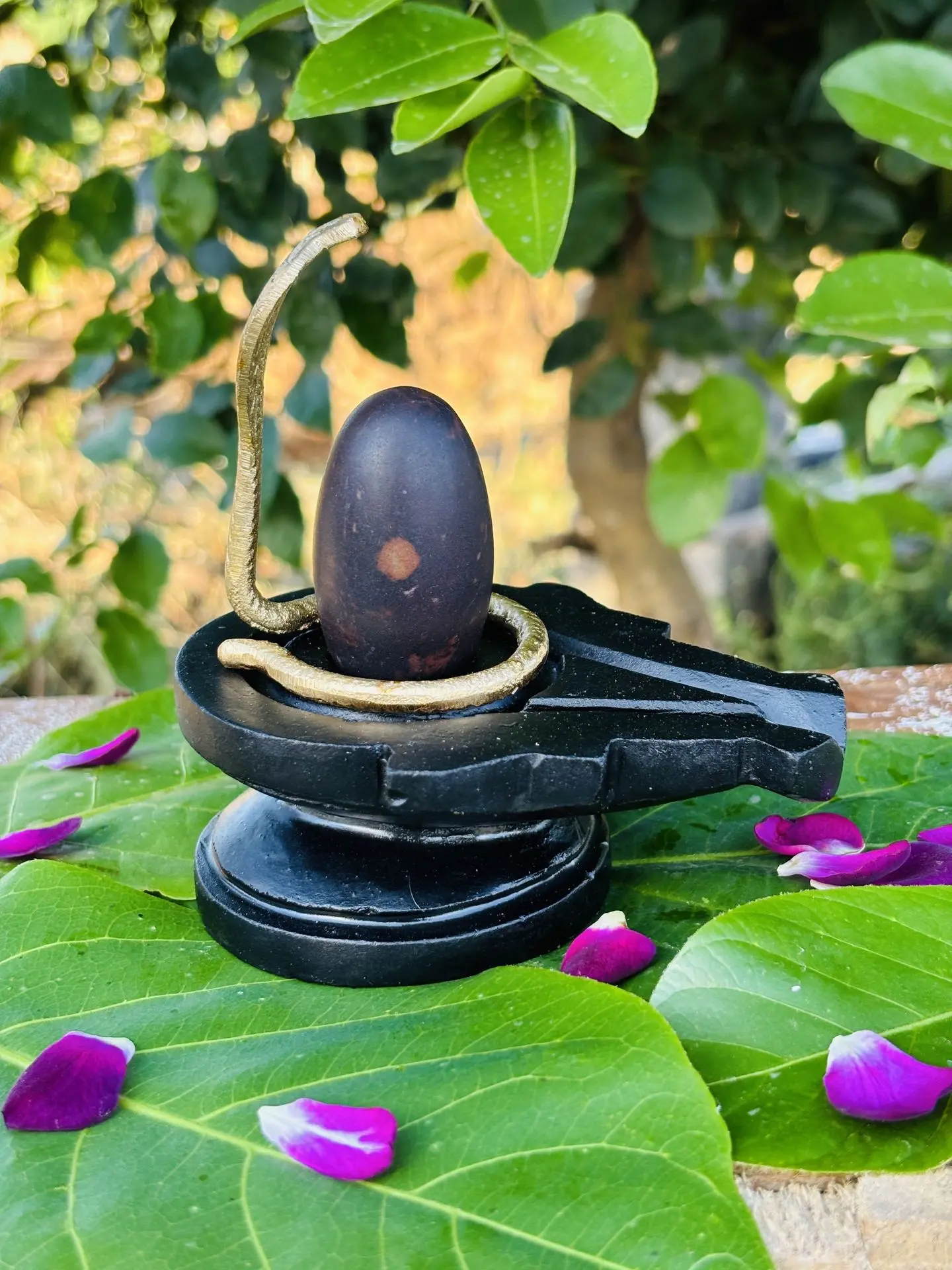 Original Narmadeshwar Shivling