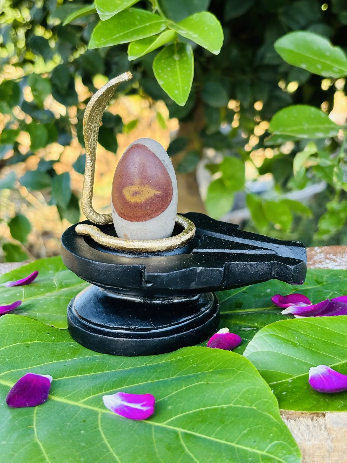 Original Narmadeshwar Shivling