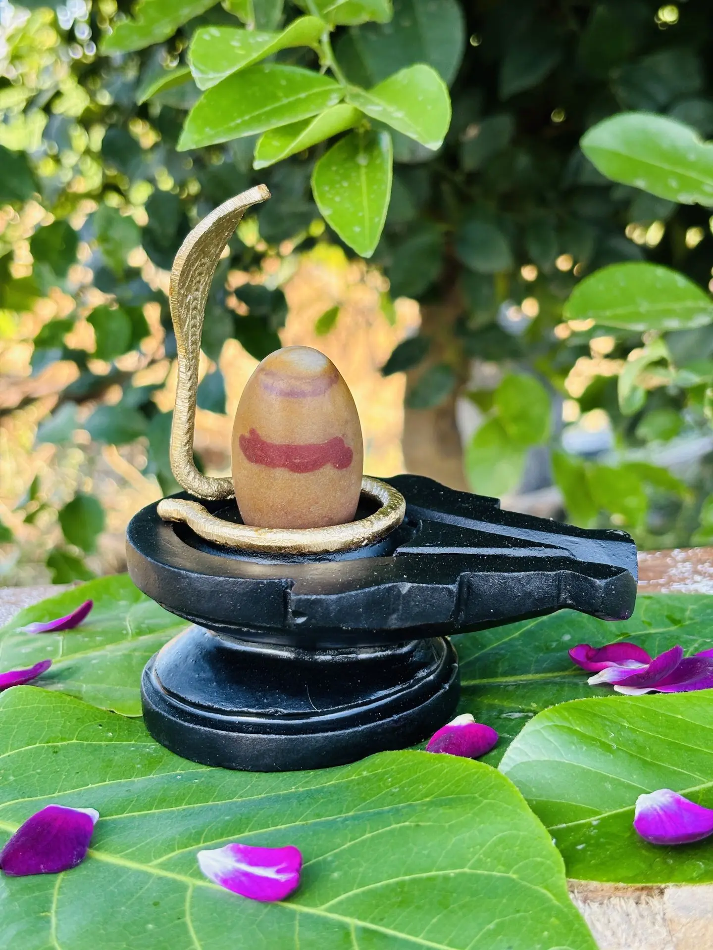Original Narmadeshwar Shivling