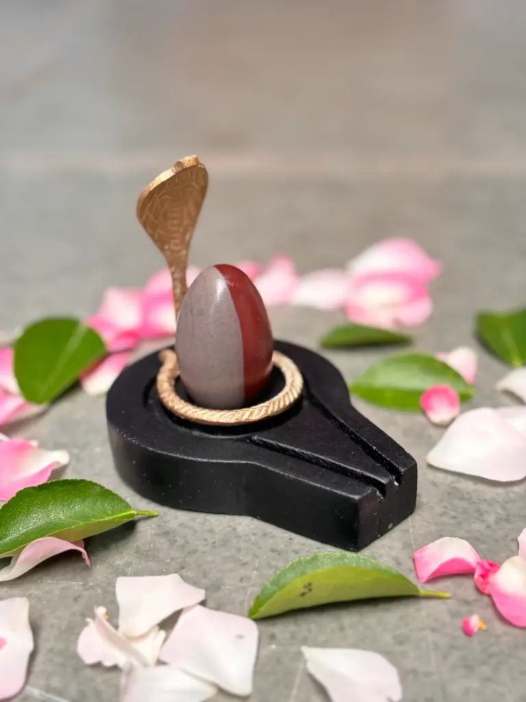 Narmadeshwar Shivling for home, 2 Inch Ardhanarishwar Narmadeshwar Shivling with 4 Inch Flat Jaladhari and Nag design, ideal for daily home worship and positive spiritual energy.