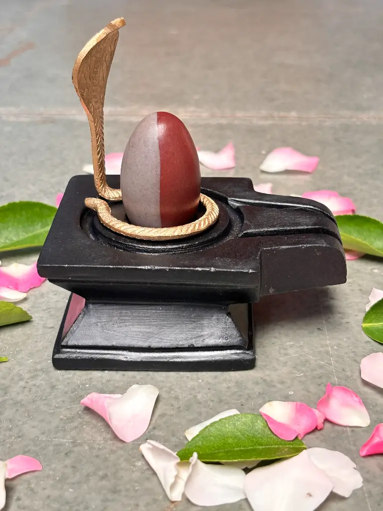 2 Inch Ardhanarishwar Narmadeshwar Shivling with 4 Inch Chakor Jaladhari || Sacred Shivling for Balance & Harmony