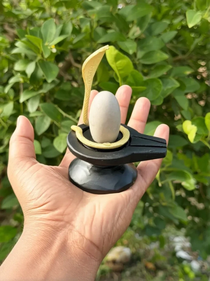 Amarnath Narmadeshwar Shivling | Best Shivling for financial prosperity.