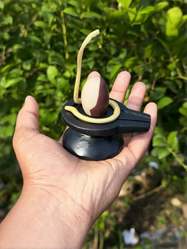Best Ardhnareshwar Narmadeshwar  shivling for home | This is the best Shivling for married life.