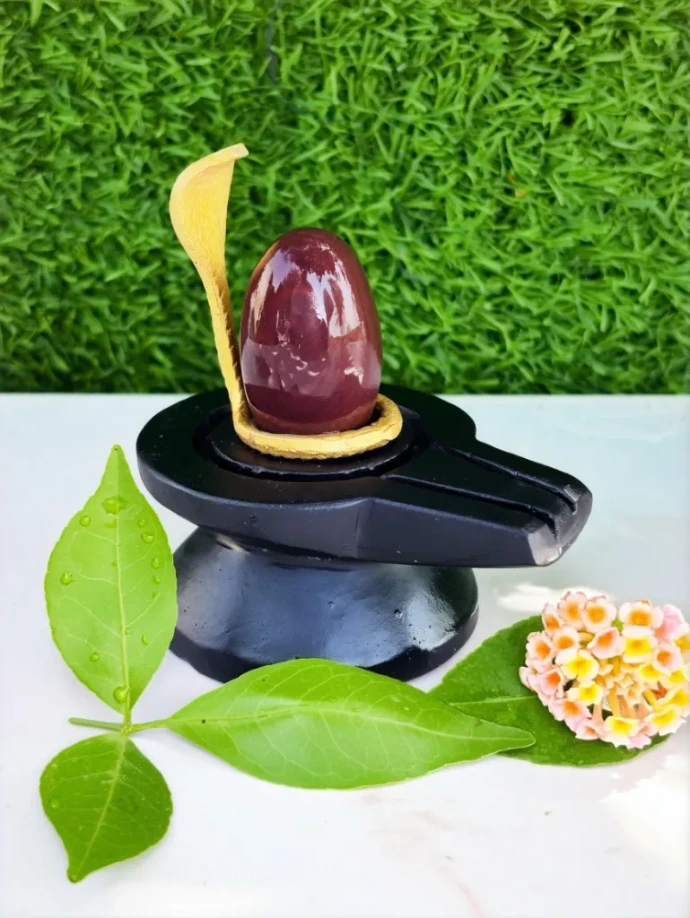 Best Small Size Swayambhu narmadeshwar  Shivling For home |This is the best Shivling for everything