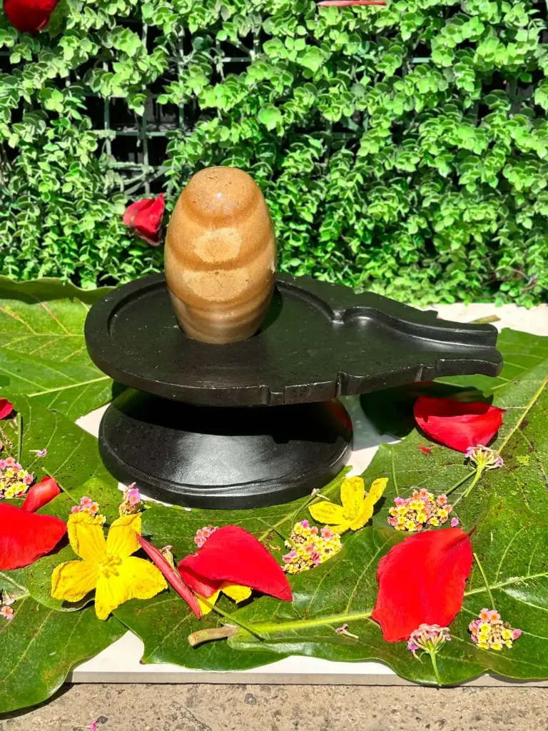 Original Janeudhari Divya Narmadeshwar Shivling with Damru Jaladhari – 6 Inch (12 Inch Jaladhari)
