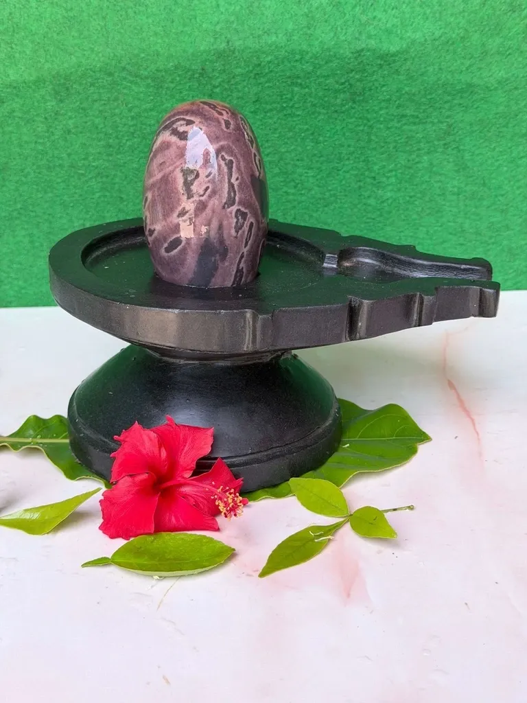 Buy 4 Inch Kalagni Narmadeshwar Shivling with 8 Inch Natural Stone Jaladhari | Authentic Narmada Banalinga for Home Temple & Meditation