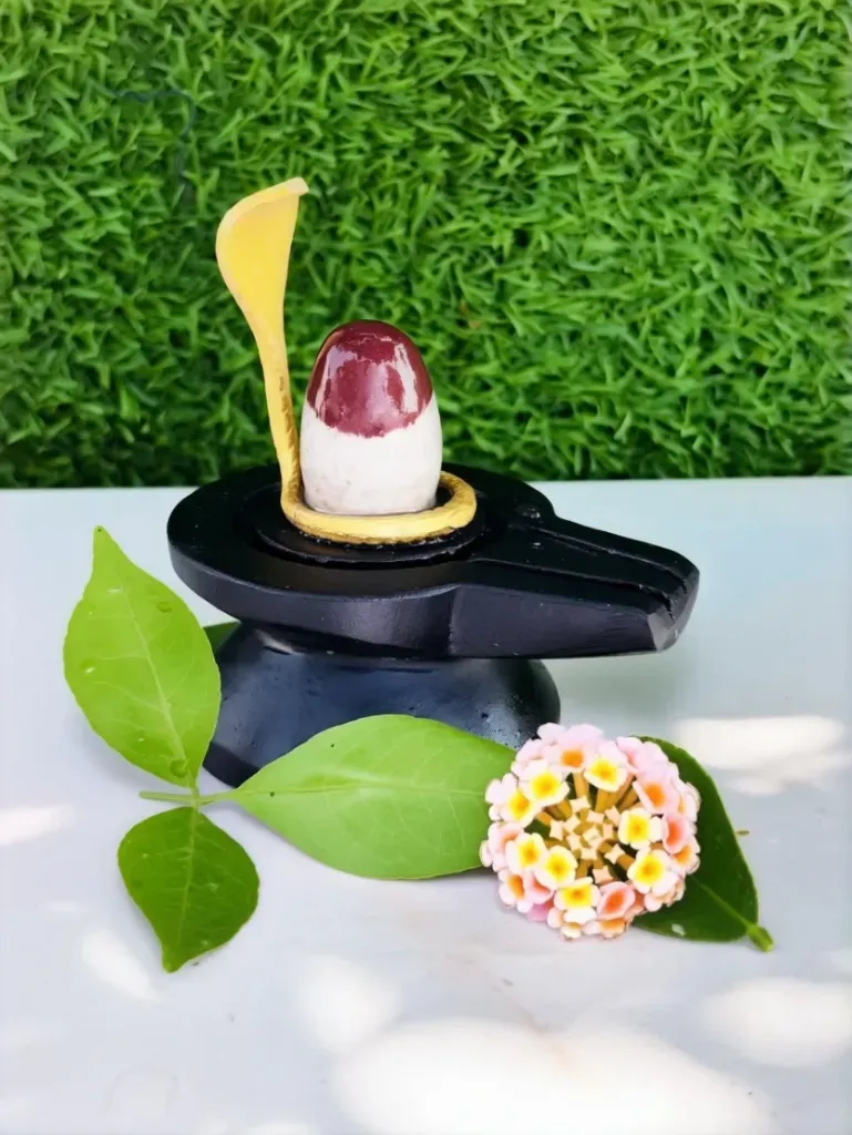 Chandramadhari Narmadeshwar shivling | This Shivling is ideal for resolving household quarrels.