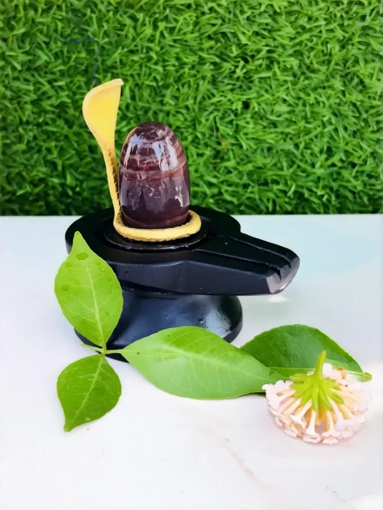 Janeudhari narmadeshwar shivling for home | This is the best Shivling for protection against black magic rituals and the evil eye.