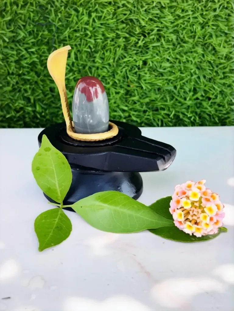 Neelkanth Narmadeshwar Shivling For Home | Top Shivling for health and healing.
