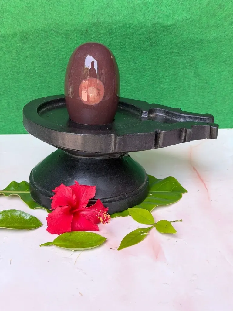 Original 4 Inch Divya Netradhari Narmadeshwar Shivling with 8 Inch Natural Stone Jaladhari | Authentic Narmada Banalinga for Home, Temple & Meditation