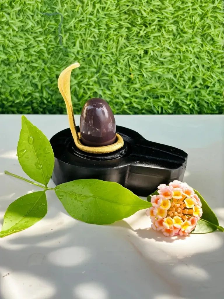 Smallest Size 1.5 Inch Narmadeshwar shivling narmada banalingam with  jaladhari