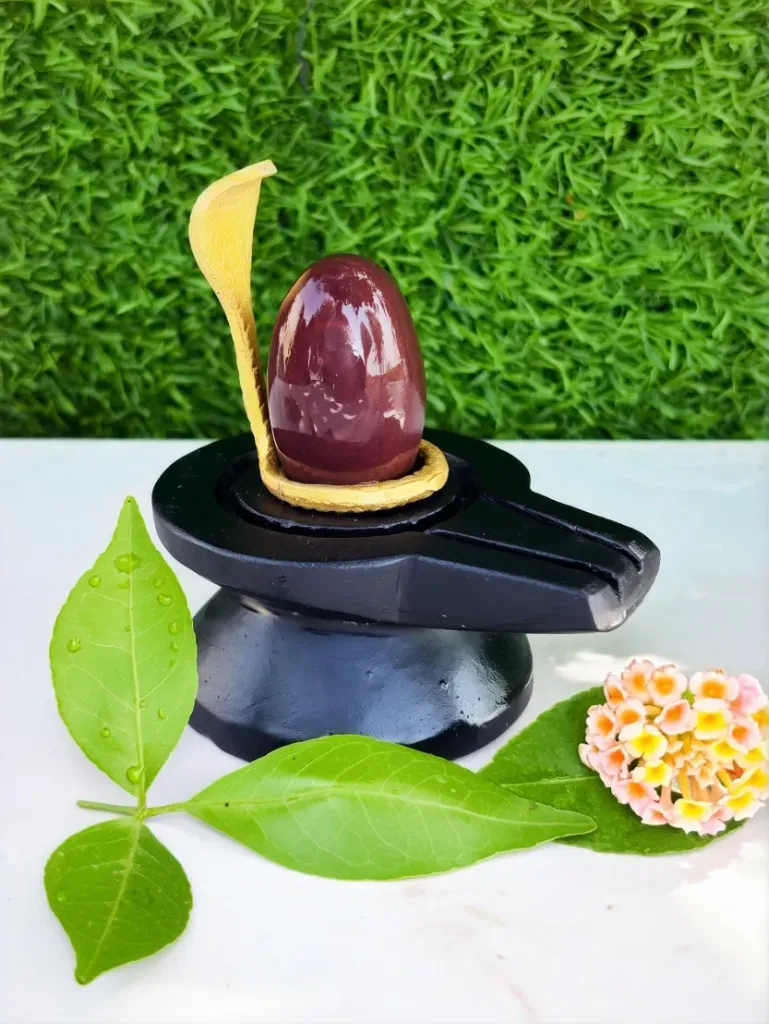 Swayambhu Narmadeshwar Shivling Smallest Size For Home