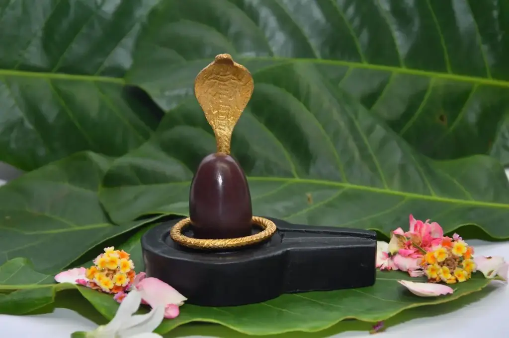 Original Swayambhu Narmadeshwar Shivling with Flat Jaladhari Nag – 2 Inch (4 Inch Jaladhari)