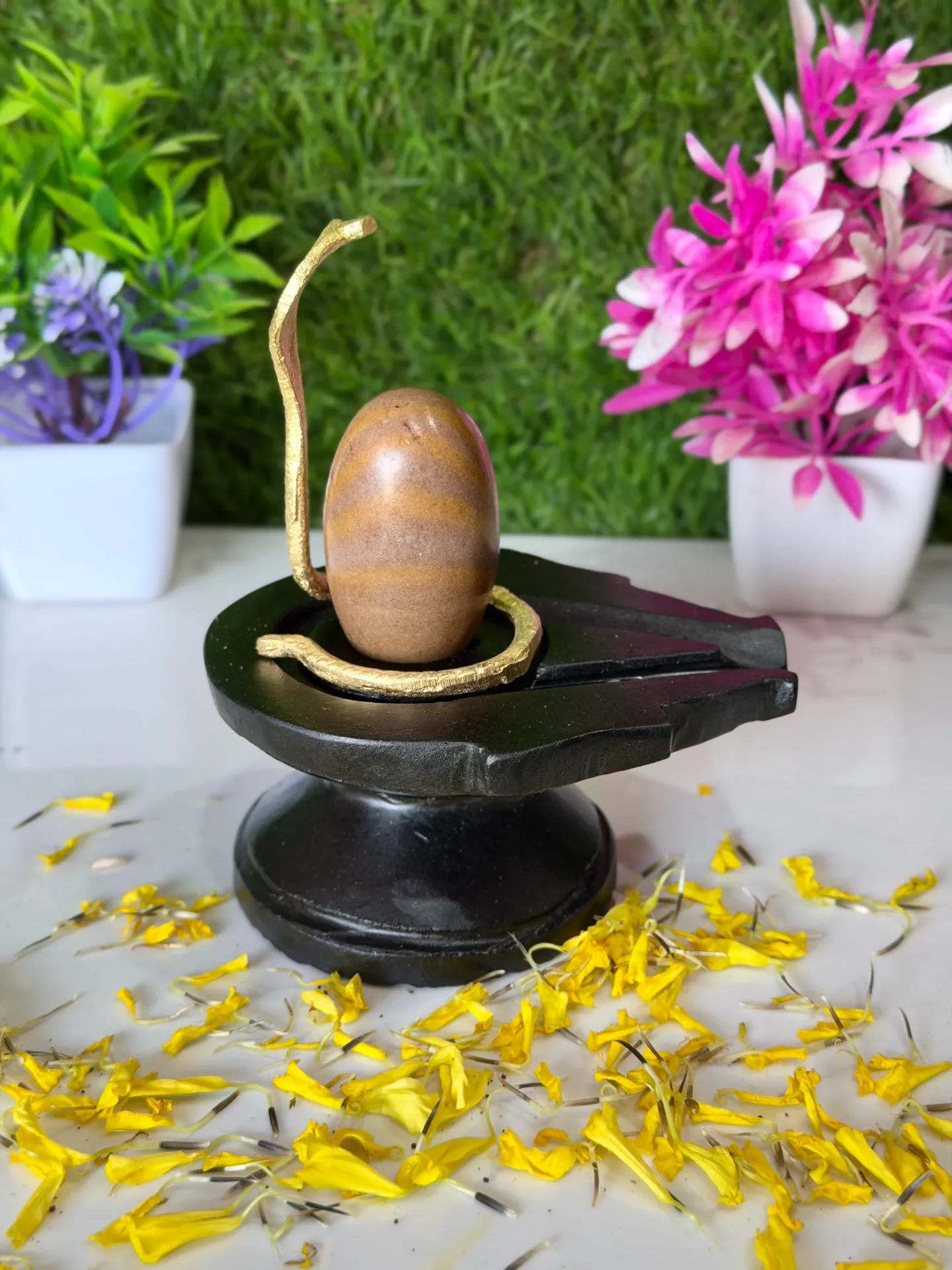 Original Pitambar Narmadeshwar Shivling for Home Puja – Calms Guru Grah (Jupiter), Gives Auspicious Results, Good Digestion & Increases Respect and Status ( Size 2 inch thumb size )