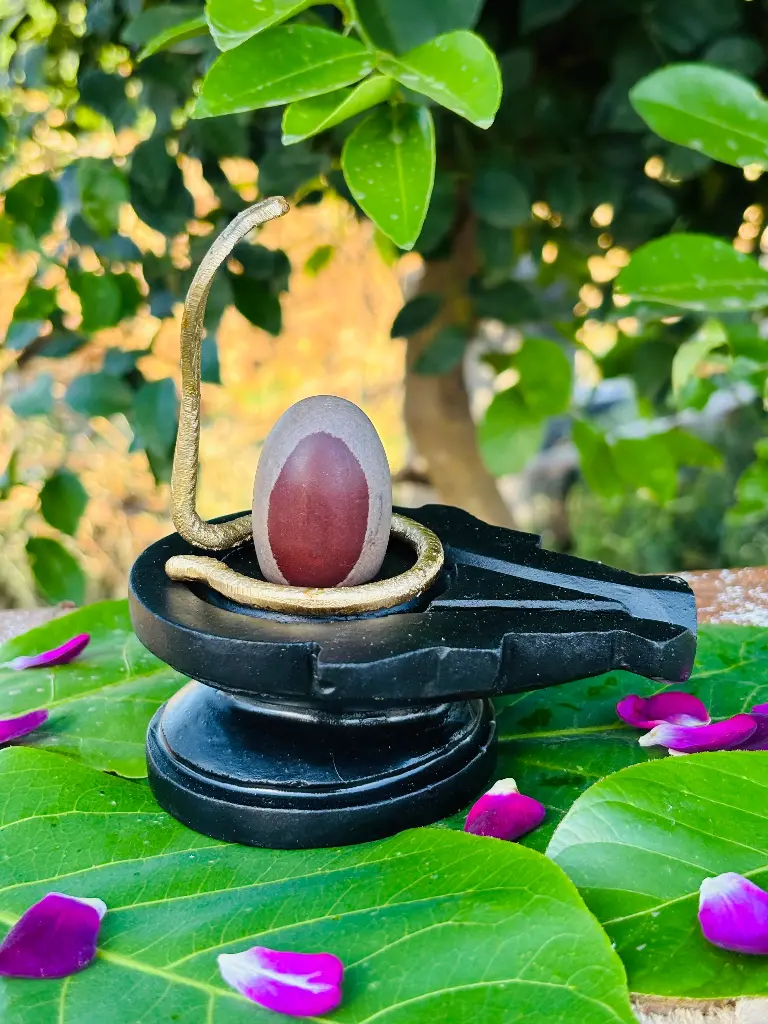 🕉️ Mahakal Narmadeshwar Shivling – Divine Blessings of Lord Shiva! 🕉️