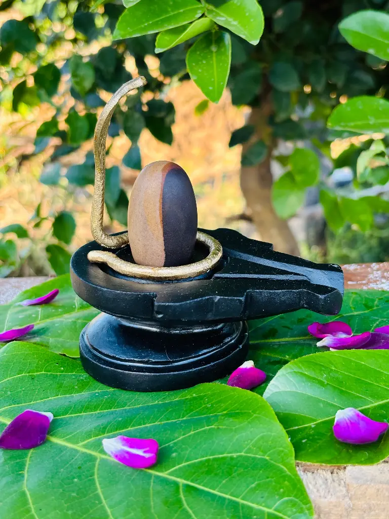 🕉️ Most Rare Ardhnareshwar Narmadeshwar Shivling – The Ultimate Divine Balance! 🕉️
