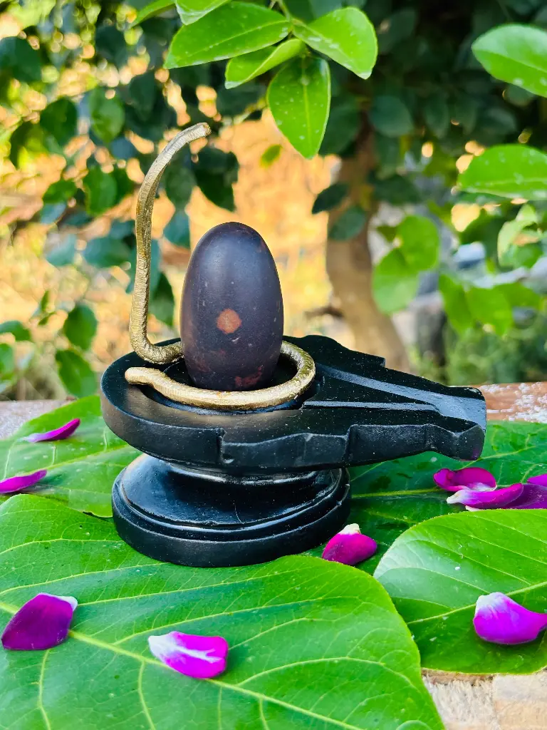 Swayambhu Narmadeshwar Shivling with Natural Third Eye – A Divine Miracle