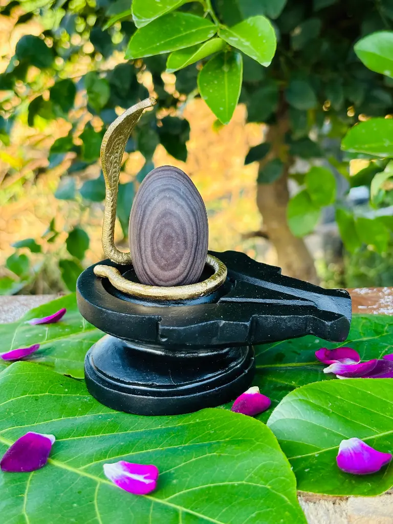 Natural Universe in Narmadeshwar Shivling – A Cosmic Blessing of Divine Energy!