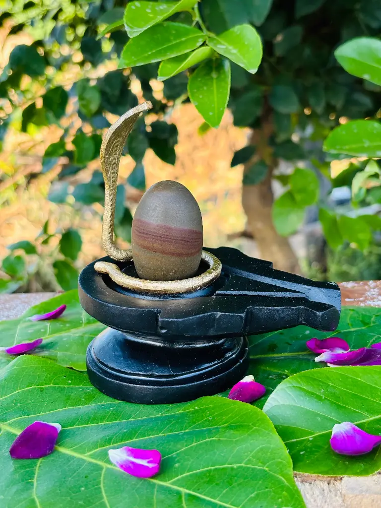 🌿 Divine Narmadeshwar Shivling with Natural Tripund Tilak – A Rare Spiritual Blessing! 🔱✨