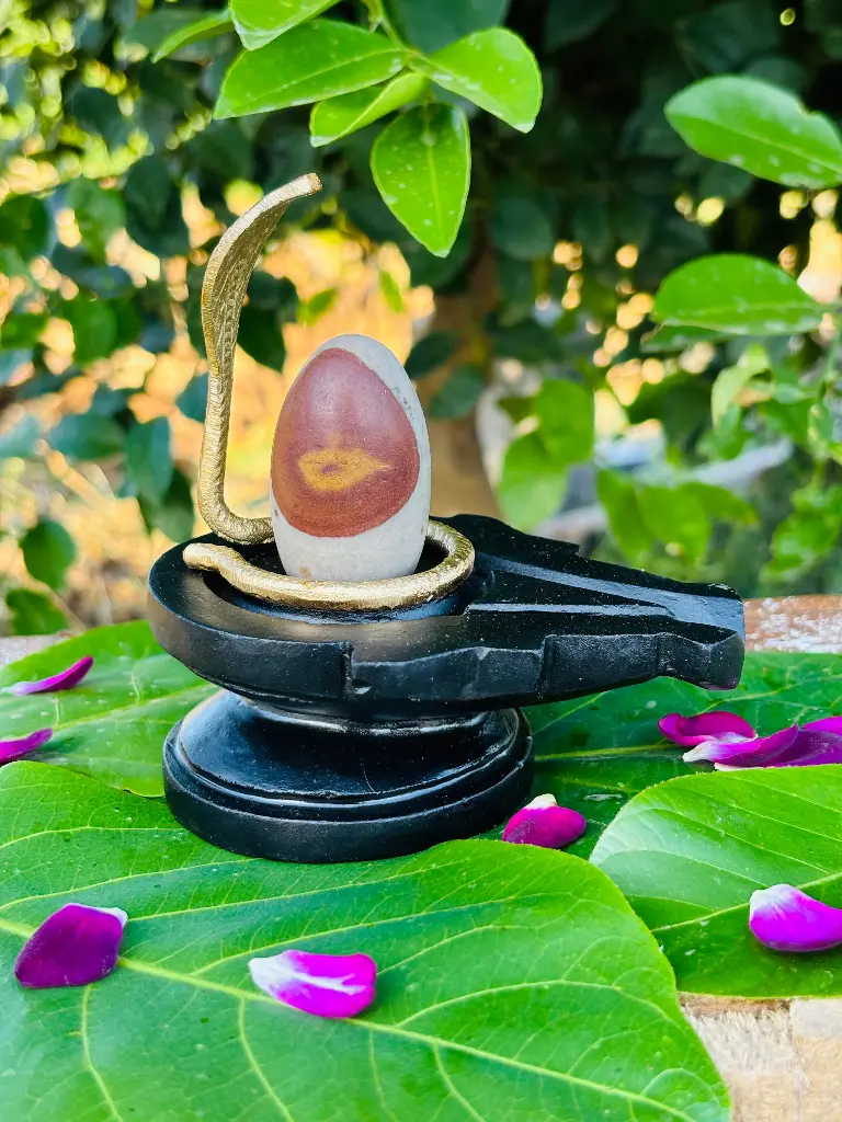 Rare Narmadeshwar Shivling with Natural Kumkum & Chandan Tilak – A Divine Wonder!