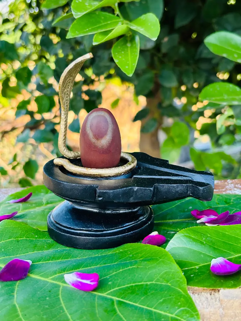 🕉️ Mystical White Garland Narmadeshwar Shivling – A Naturally Blessed Shiva Miracle!