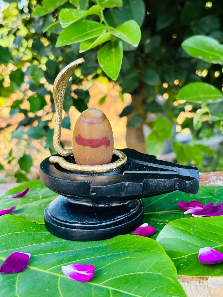 Pitamber Narmadeshwar Shivling with Natural Kumkum Tilak – A Rare Divine Manifestation!