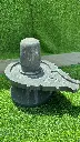 6 Inch Akhand Nilkanth Narmadeshwar Shivling With Ashok Sundari || Made In Single Narmada Stone