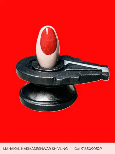 Best Narmadeshwar Shivling for Removing Vastu and bad energy 