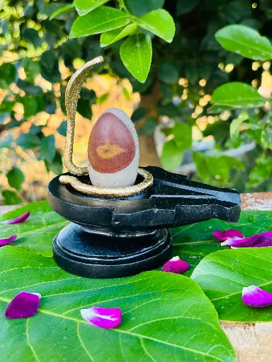 Rare Narmadeshwar Shivling with Natural Kumkum & Chandan Tilak – A Divine Wonder!