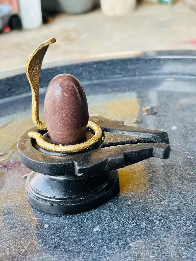 Best Narmadeshwar Shivling For Home