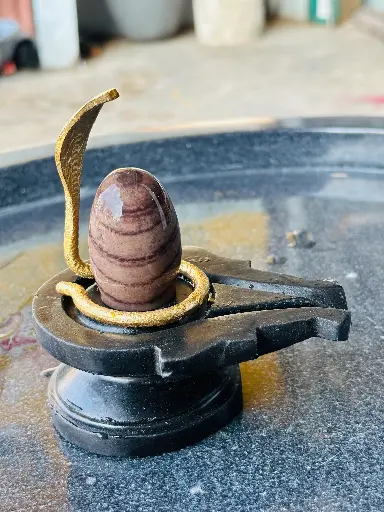 Janeumaladhai wala natural narmadeshwar shivling jaladhari ke sath
