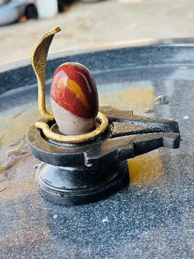 tripund kumkum dhari chandan lga hua natural narmadeshwar shivling