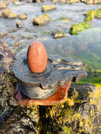 3 Inch Swayambhu narmadeshwar shivling with 6 inch ashok sundari wali jaladhari
