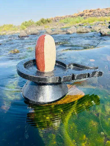 6 Inch Ardhnareshwar Narmadeshwar shivling with 12 inch damru jaladhari
