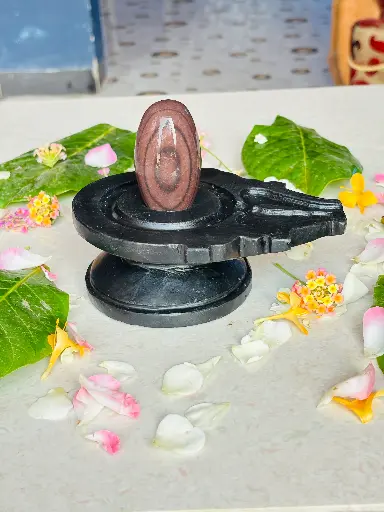 mahamrityunjay narmadeshwar shivling
