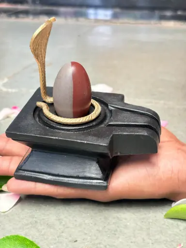 narmadeshwar shivling price