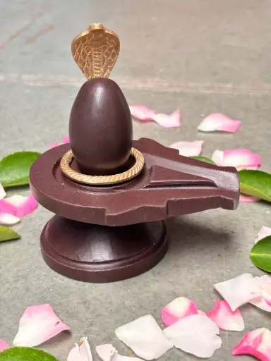 narmadeshwar shivling with narmadeshwar jaladhari
