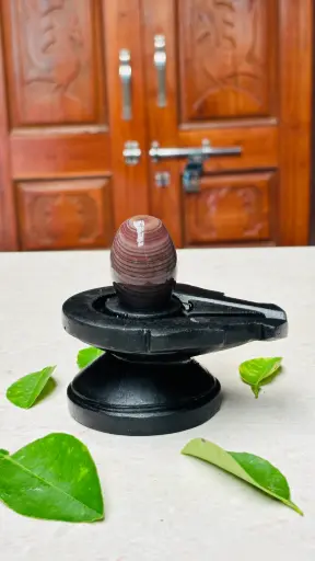 Collector’s Edition Maha Narmadeshwar Shivling – One-of-a-Kind Divine Artifact