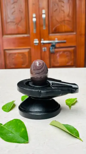 Rare Narmadeshwar Shivling – Luxury Home & Office Energy Enhancer